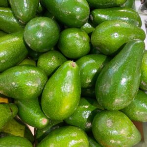 bơ sáp tây nguyên