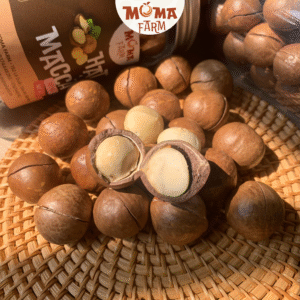 hạt macca size trung moma farm