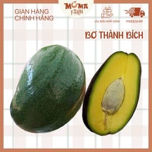 bơ thành bích moma farm