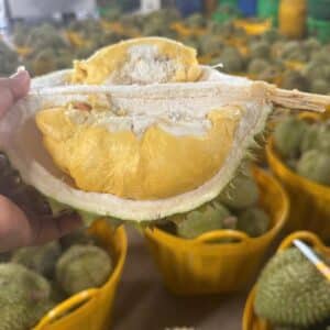 sầu ri 6 thơm ngon