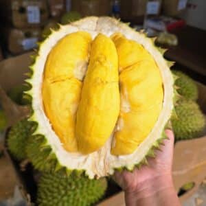 sầu riêng ri6 nhà vườn