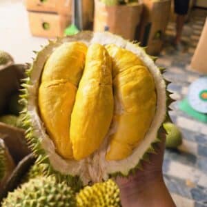 sầu ri6 đăk lăk