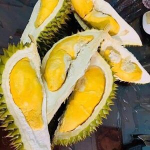 sầu ri6 nhà vườn