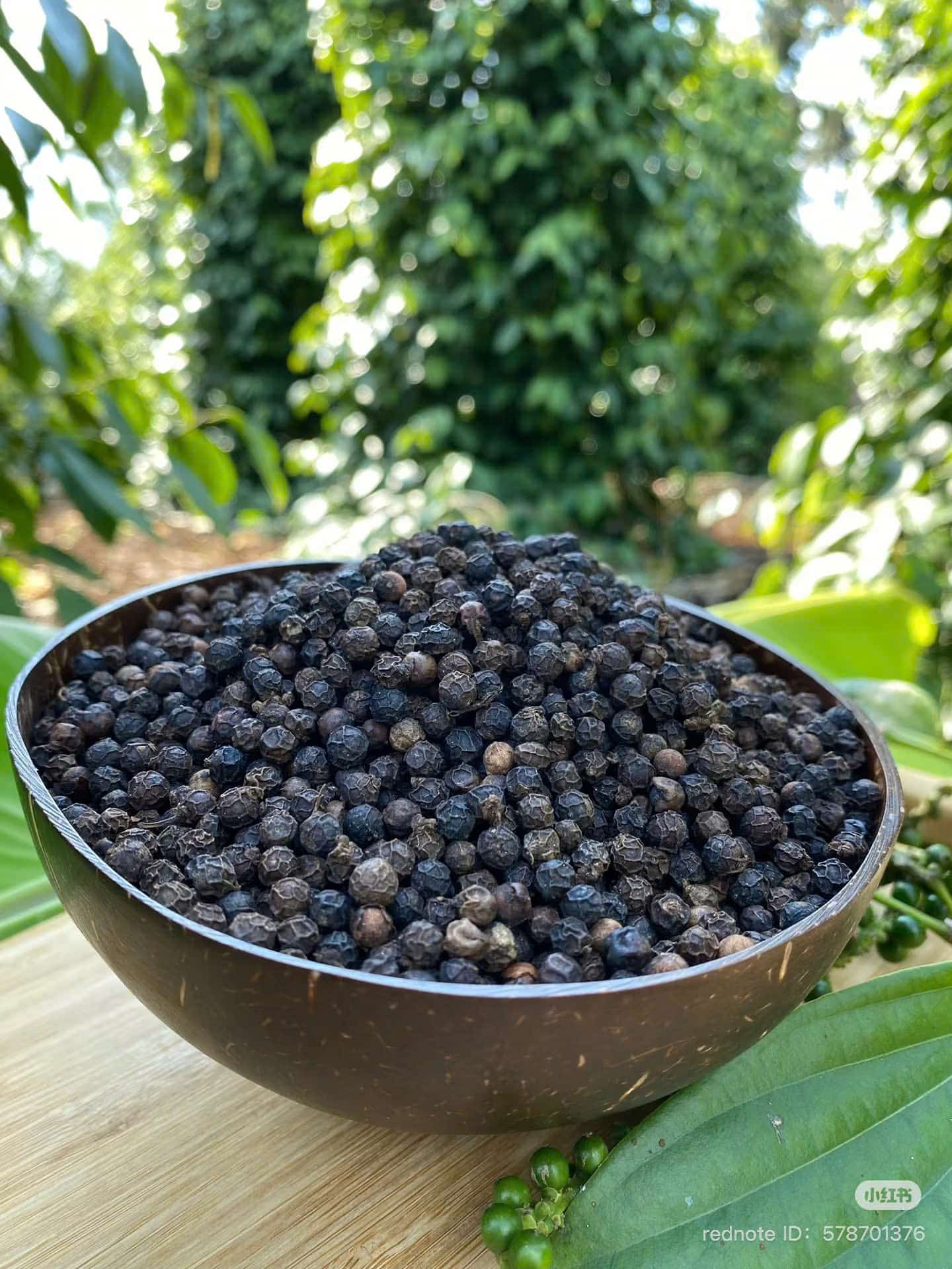 hạt tiêu tại vườn daklak