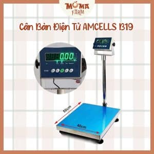 Cân Bàn Điện Tử AMCELLS B19