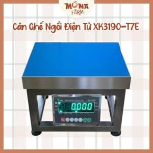Cân Ghế Ngồi Điện Tử XK3190-T7E