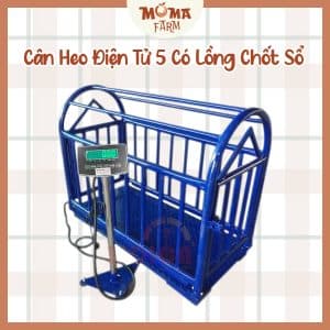 Cân Heo Điện Tử 5 Có Lồng Chốt Sổ