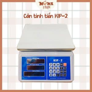 Cân tính tiền KIP-2