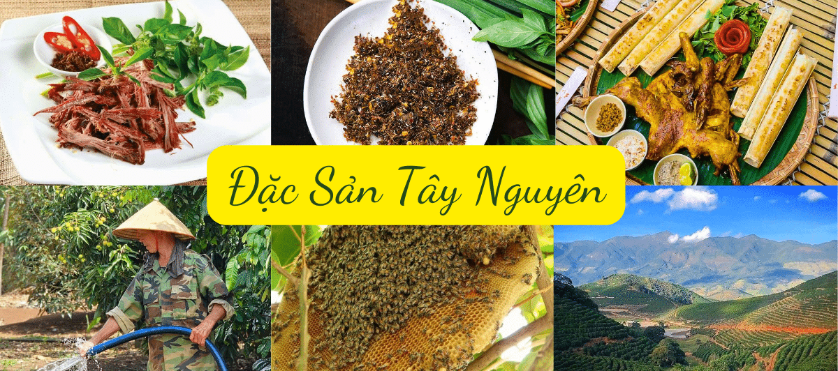 Đặc Sản Tây Nguyên