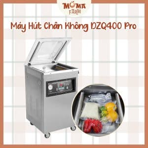 Máy Hút Chân Không DZQ400 Pro