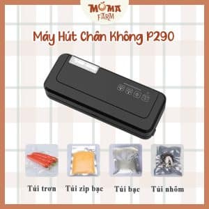 Máy Hút Chân Không P290 Công Suất Nhỏ Cho Gia Đình
