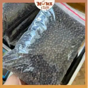 Hạt tiêu đen Moma Farm