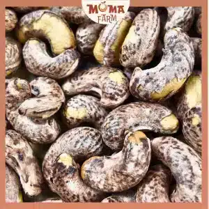 vn 11134207 7ra0g m9xwcm21auqi54